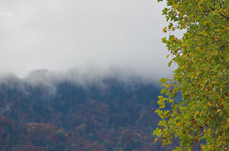 ähm, dings... © 2005